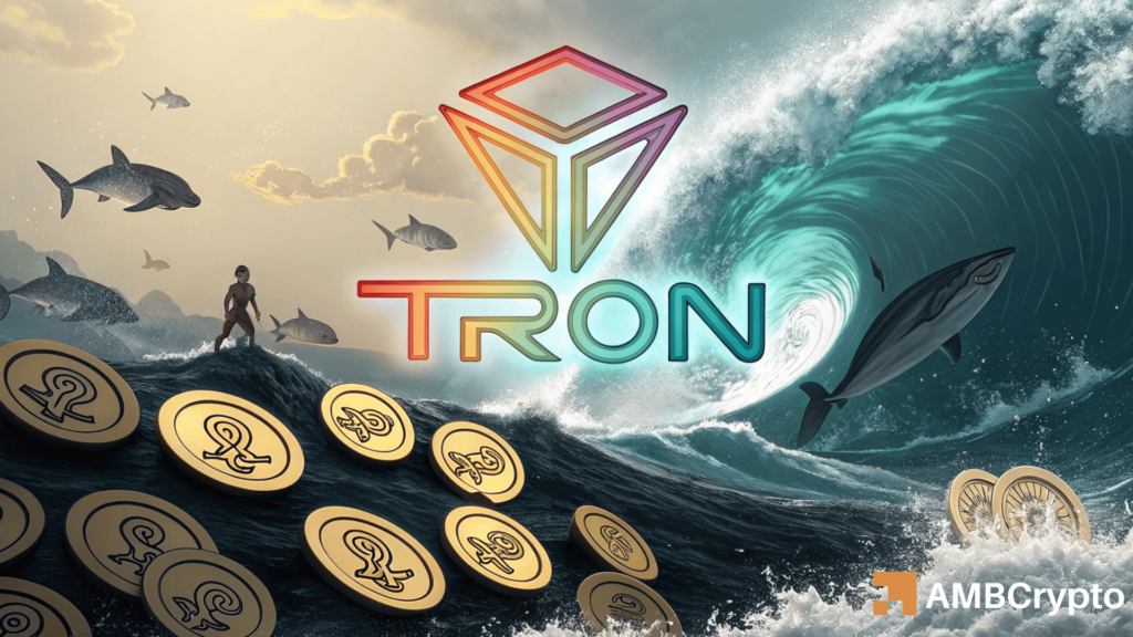 TRON: Can these 2 factors lead TRX to soar beyond $0.25?