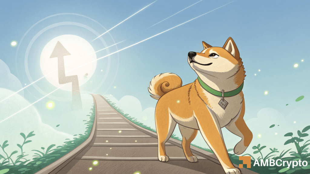 793 mln Dogecoin shift – Is a whale behind DOGE's 12% spike?