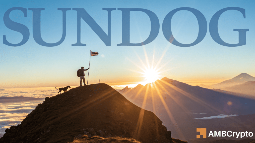 Here’s what 69mLn token withdrawal means for SUNDOG’s rally!