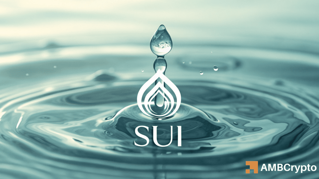 SUI DEX activity surges 89% - But why are traders still hesitant?