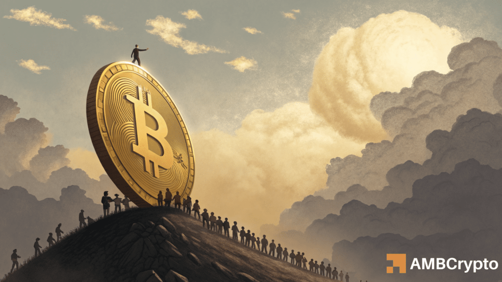 Bitcoin [BTC] extended its rally to new yearly highs near $111K. However, small wallet activity painted a different picture.