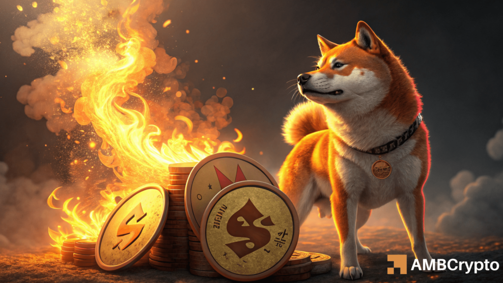 Shiba Inu burn rate rockets 8,925% – Will this help SHIB shoot to $0.0000153?