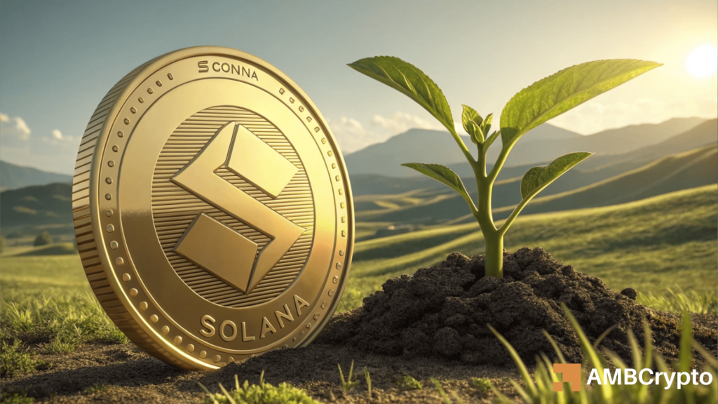 Solana whale stakes $50.8 mln SOL: Why is everyone else playing it safe?
