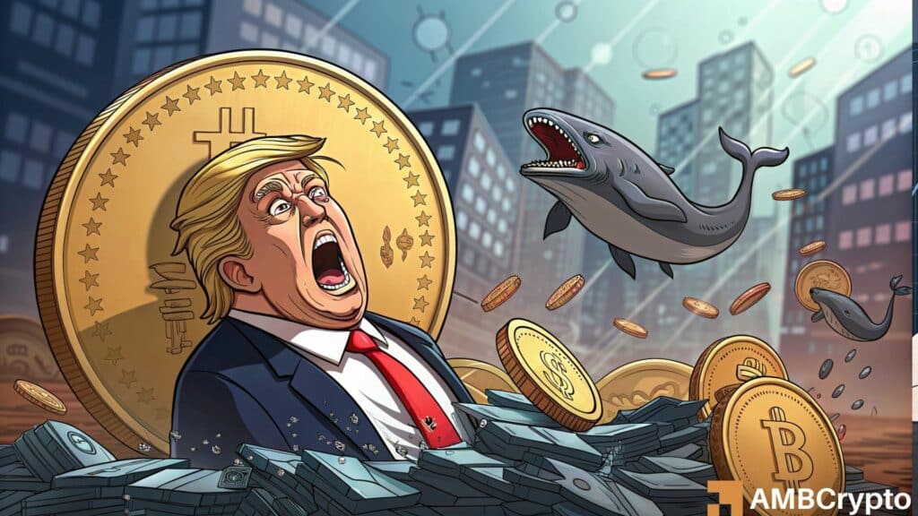5 TRUMP whales deposit 126K tokens into Bybit: Will price fall below $9?