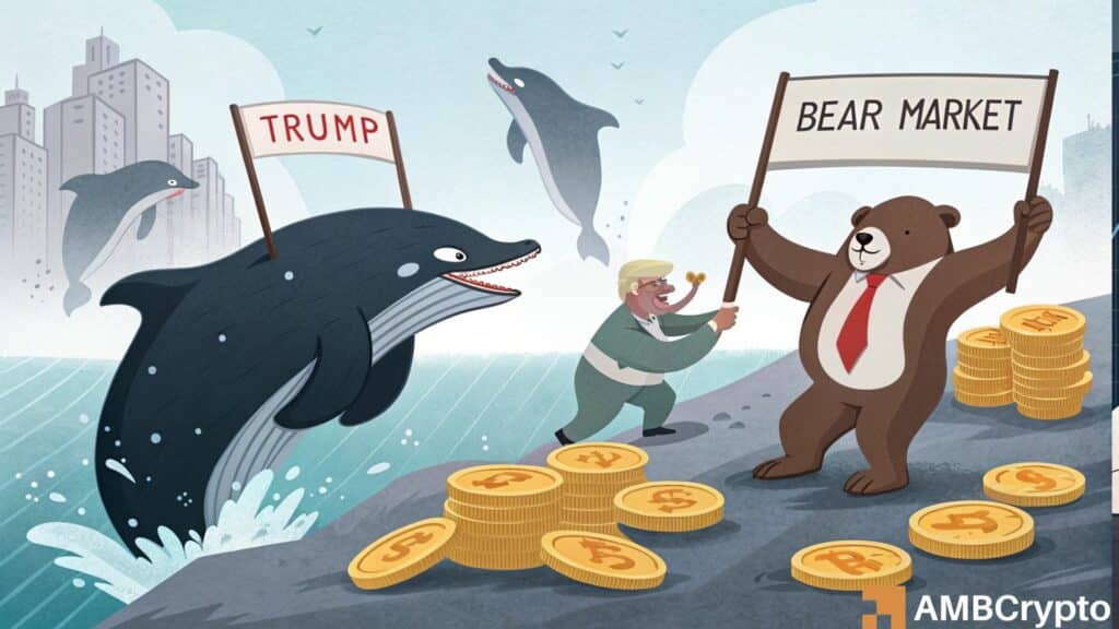 TRUMP faces major resistance at $11 - Is whale buying enough to beat bears?