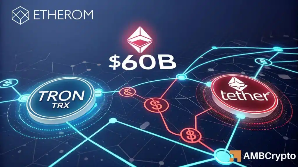 TRON Network's USDT transactions hit $600B ATH - All the details!
