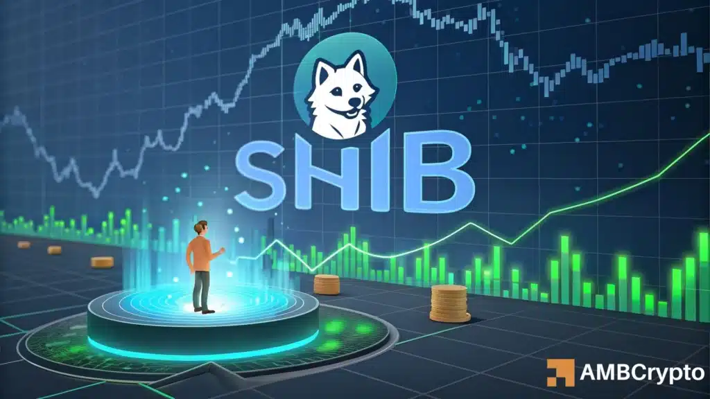 Shiba Inu's [SHIB]