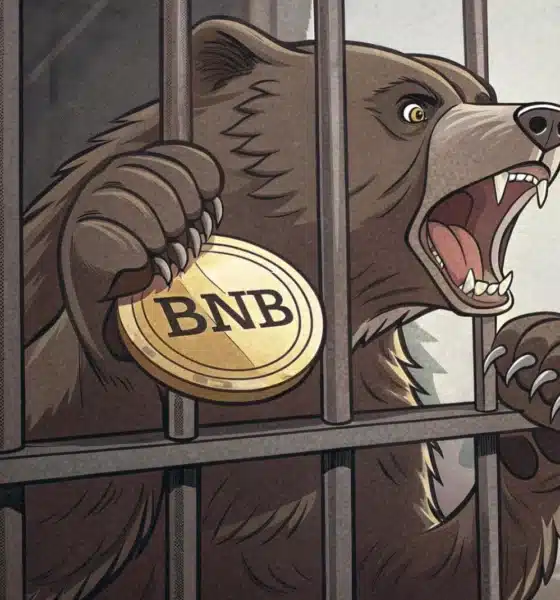 BNB’s setup revealed: Is a bear trap looming amid stablecoin moves?