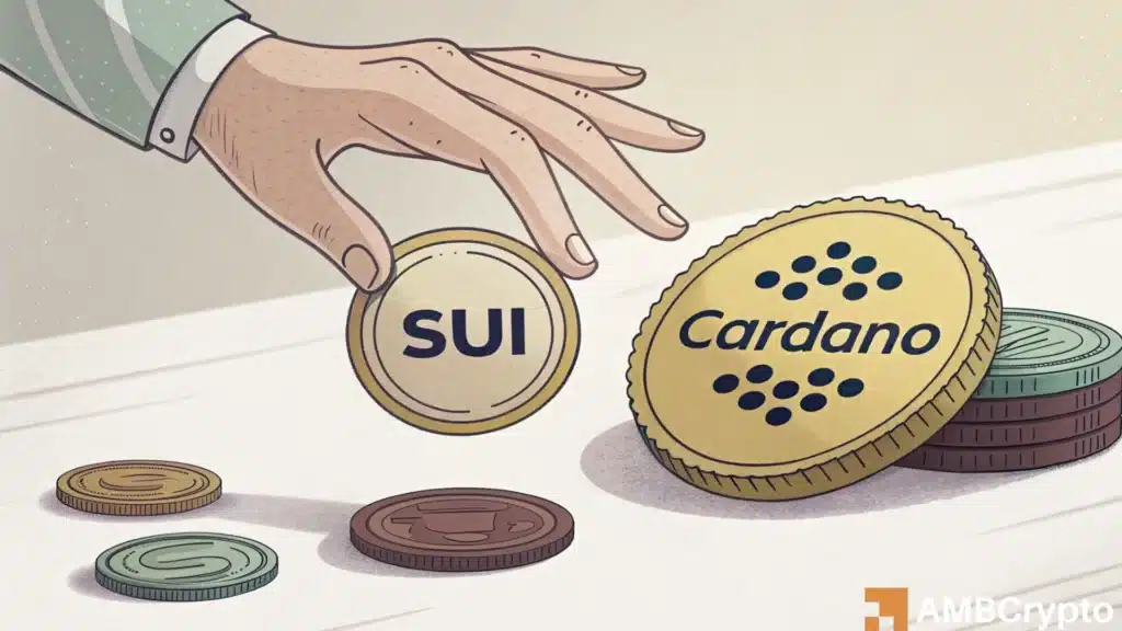 SUI's leg up over Cardano: What investor psychology is telling us