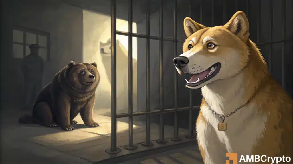 Dogecoin's 14% drop could be its biggest bear trap yet - Here's how