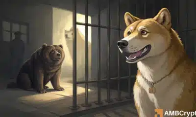 Dogecoin's 14% drop could be its biggest bear trap yet - Here's how