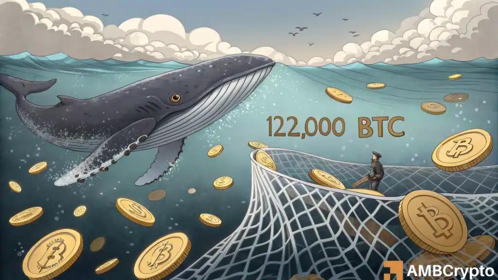 Bitcoin whales buy 122K BTC in 6 weeks – What’s driving the surge?
