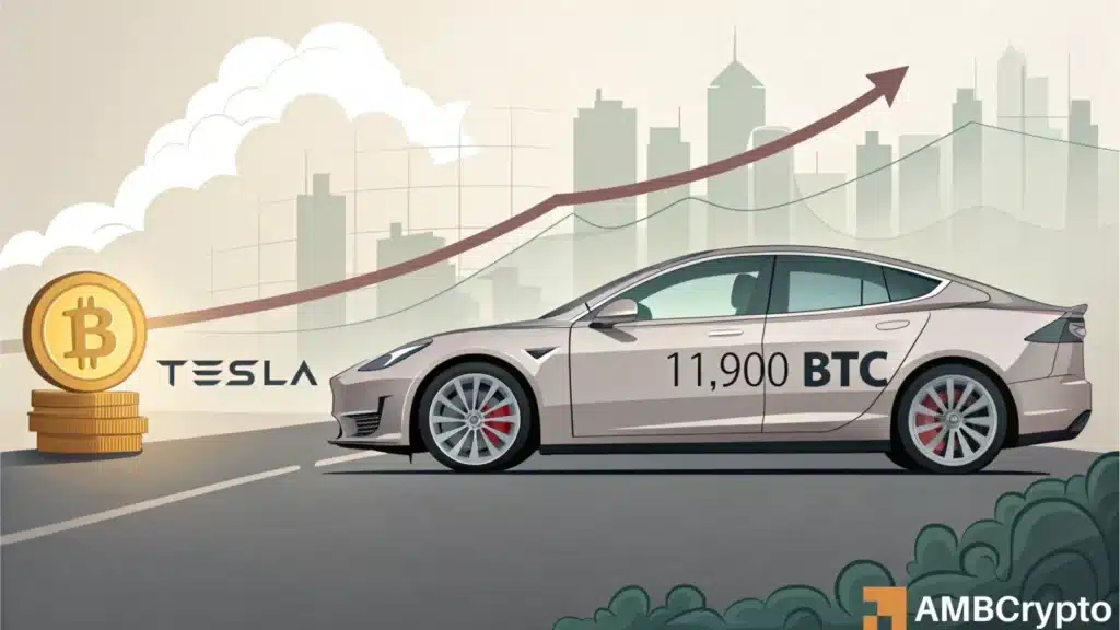 Tesla’s Bitcoin stash soars - How institutions are shaping BTC’s future