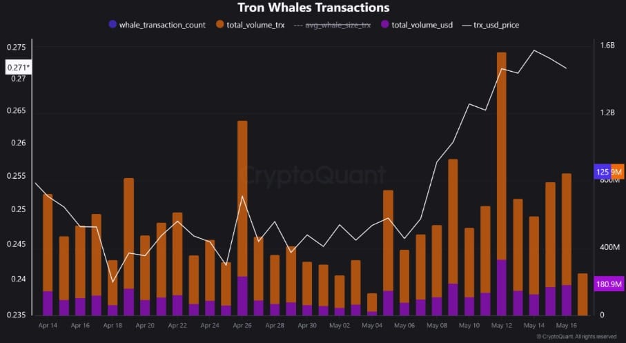Tron whale activity