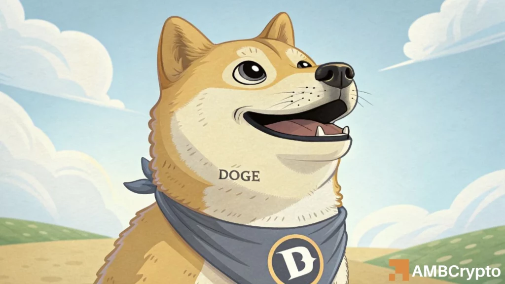 Dogecoin [DOGE] drops 16% – But is a $0.25 rally now loading?