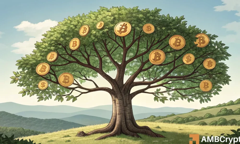 Bitcoin: Here are the clues for what’s beyond BTC ATH; first, look for…