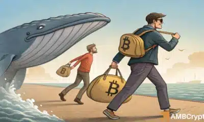 Whales help Bitcoin surge with 30K BTC buy as THIS group retreats