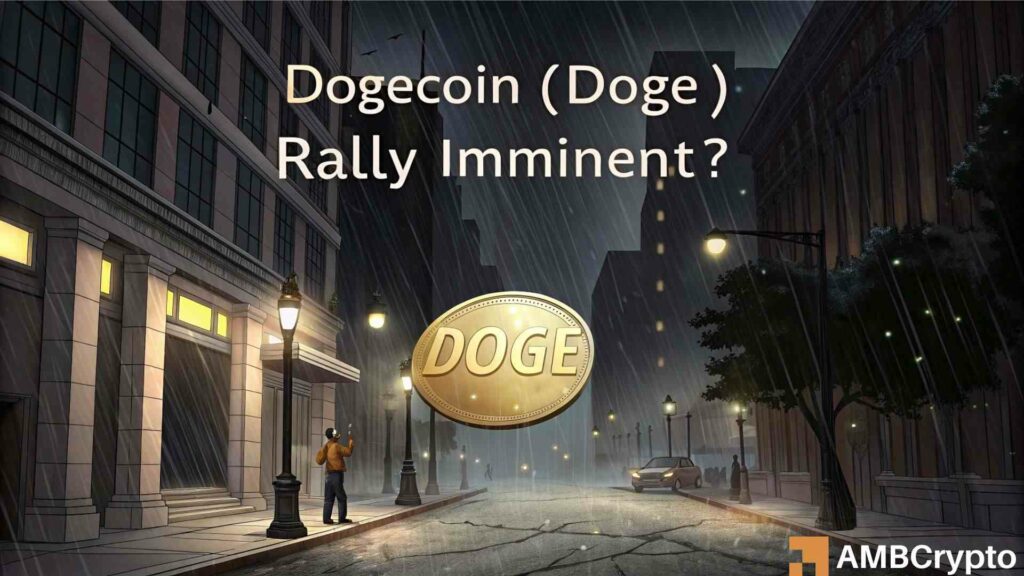 DOGE