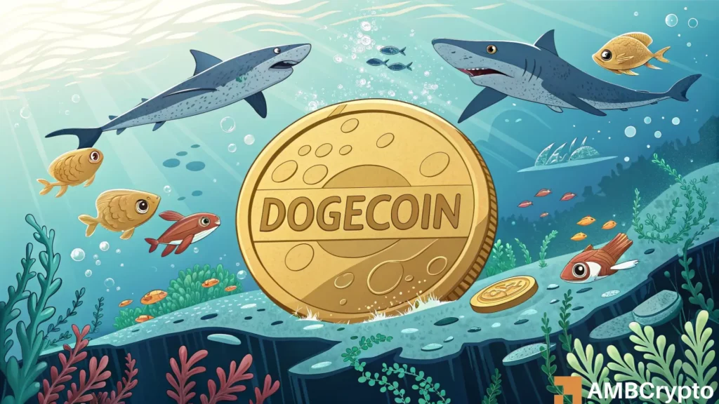 Dogecoin - Here's what's in store for memecoin after Bitcoin's latest price bounce