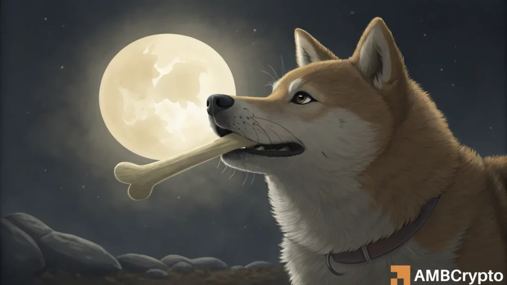 Dogecoin's road to slow recovery - Here's why investors should be ready for volatility!