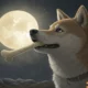Dogecoin's road to slow recovery - Here's why investors should be ready for volatility!