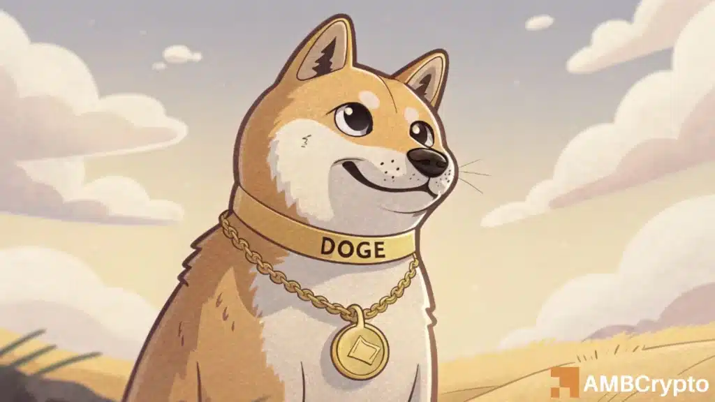 DOGE bleeds 14% this month with $132 mln in unrealized losses - What now?