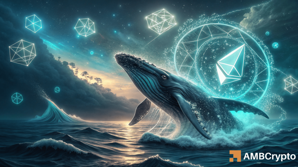Ethereum: Whales now hold $365mln in ETH – Is a run to $3.4K loading?