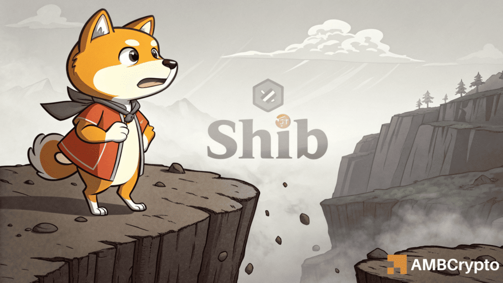 Shiba Inu: Dormant whale moves 100B SHIB – Will price drop further?