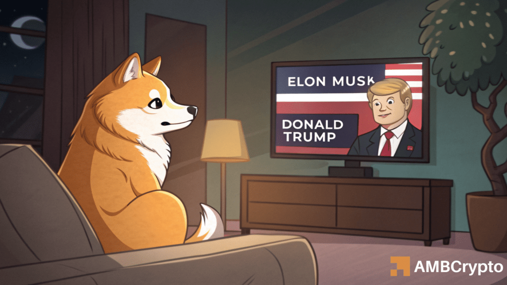 DOGE
