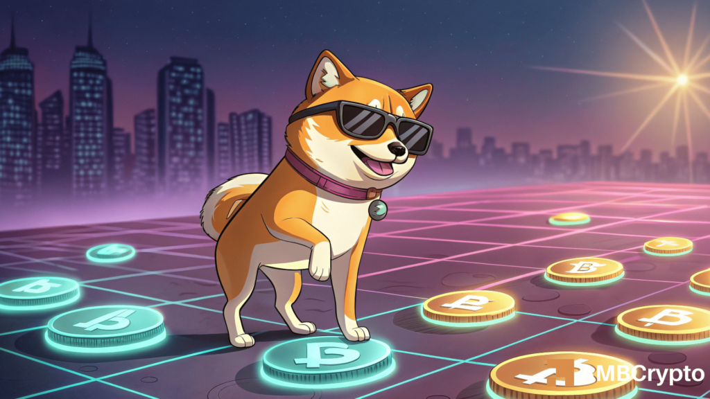 Shiba Inu - A 6,306% hike in inflows? It could be a breakout or a bull trap IF...