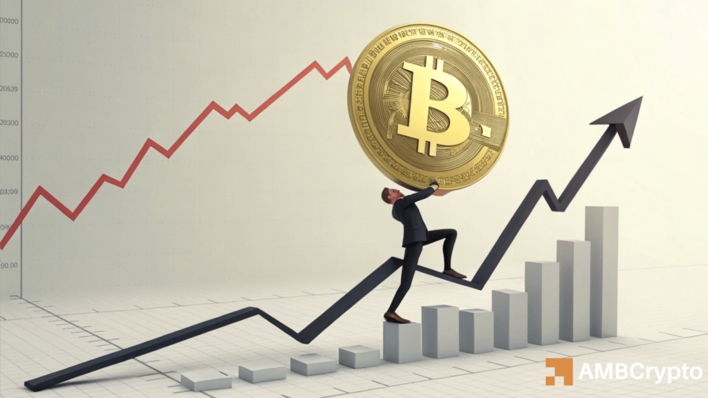 What do Bitcoin's mid-cycle metrics tell us about its next price rally?