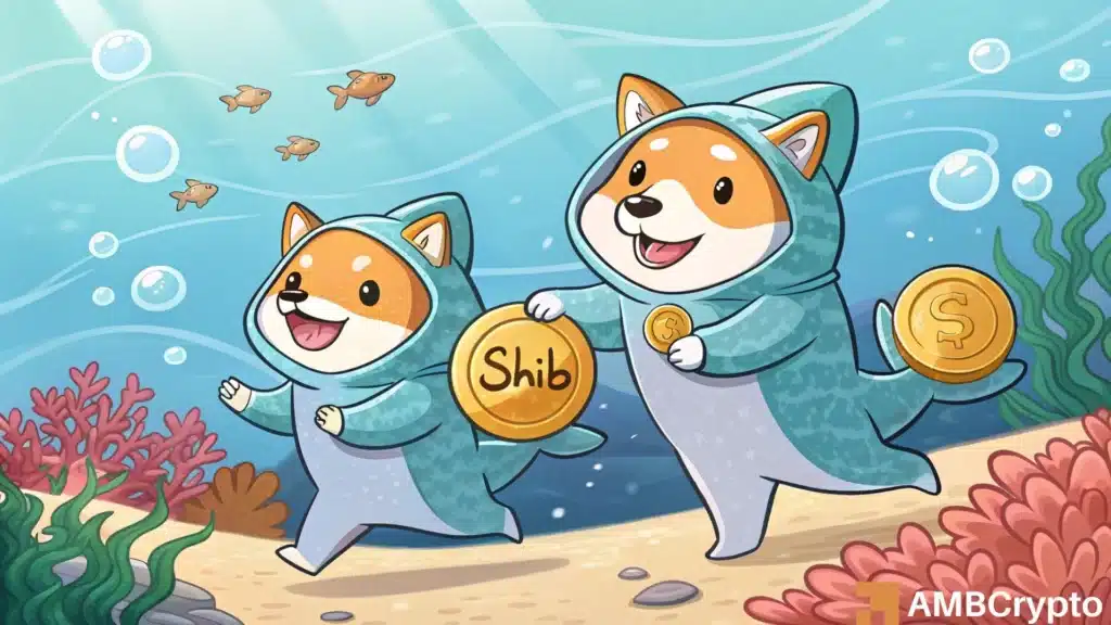 Shiba Inu
