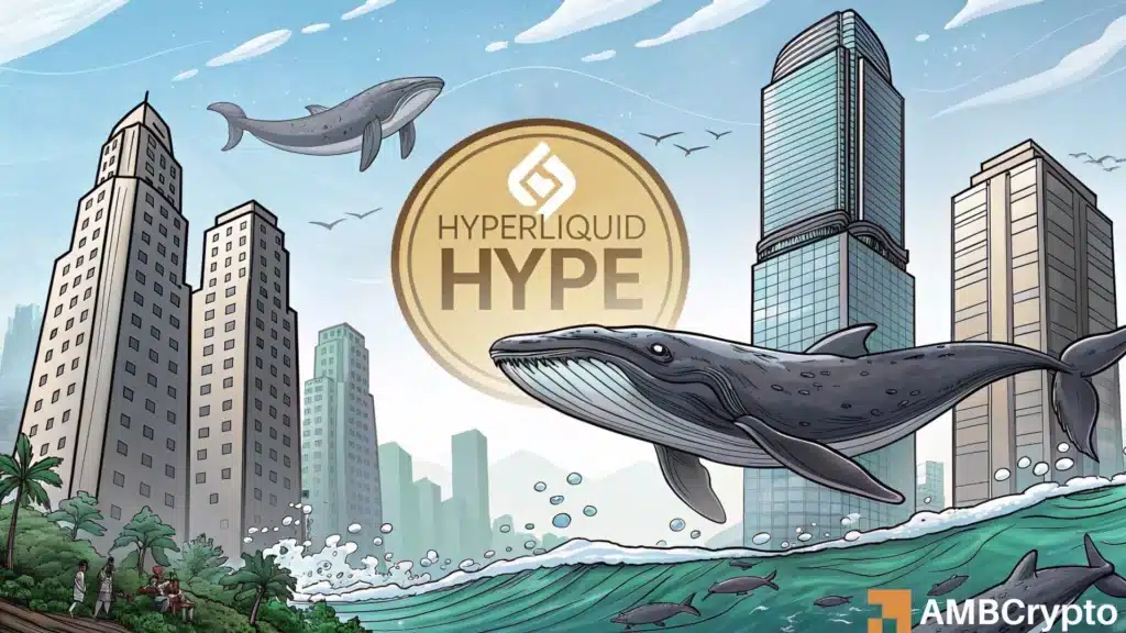 Hyperliquid's demand soars among 2 groups - What's next for HYPE?
