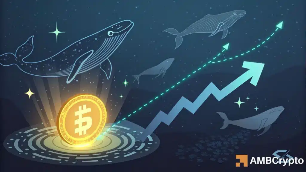 Whales circle sonic: Is a breakout to $0.62 just around the corner?
