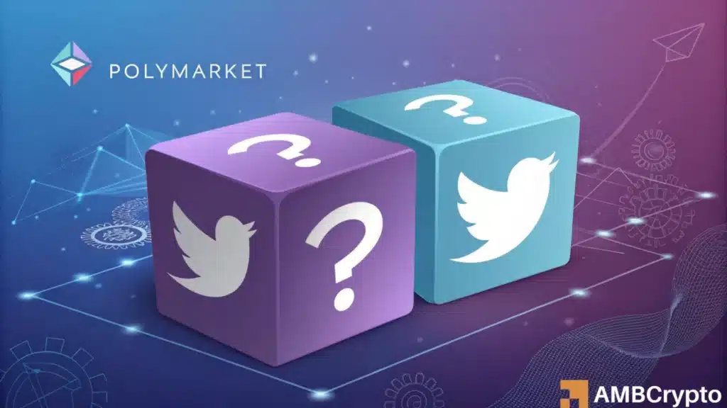 Polymarket's new partnership with Elon Musk's X - Is its userbase already checking out?