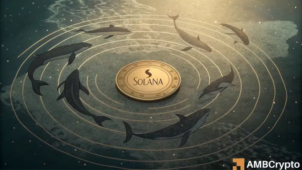 Solana in a loop? Why SOL's $200 dream remains stuck