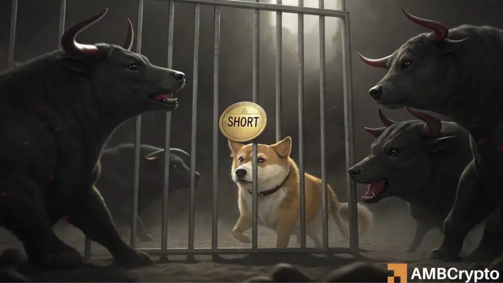DOGE