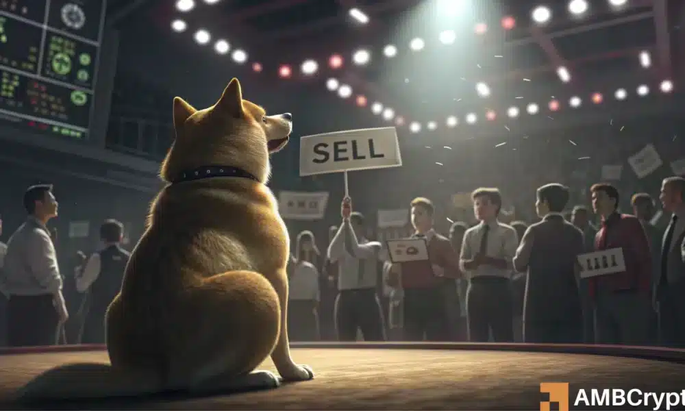 Dogecoin faces a sell wall – Will smart money hold or fold at $0.17?