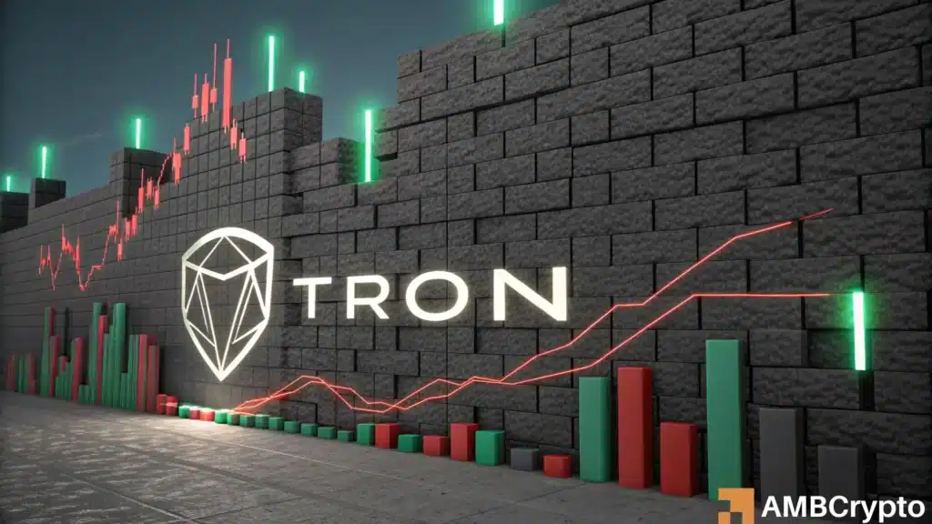 TRON bulls must defend THIS support level for recovery - Can they do it?