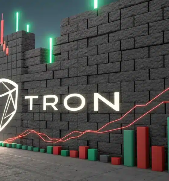 TRON bulls must defend THIS support level for recovery - Can they do it?
