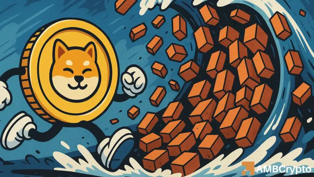 BONK racks up $33 mln in buys - But THIS might kill the buzz!