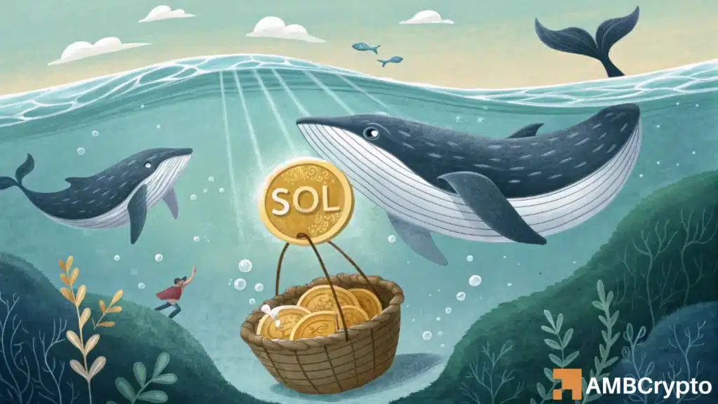 Solana wallet activity hits ATH: Can growing demand help SOL reach $184?