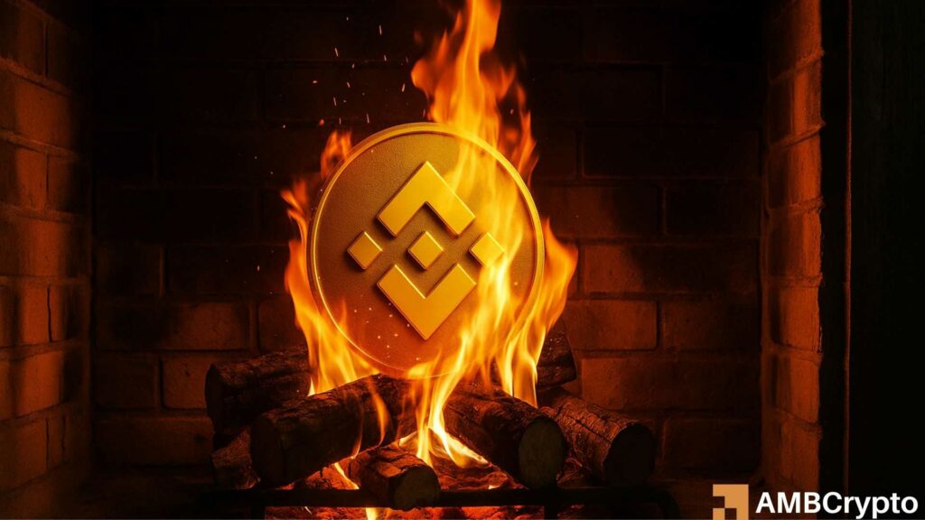 BNB crypto burn rate