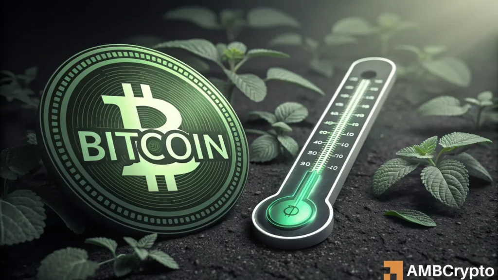 Crypto Fear and Greed Index stays green- should you expect new highs for Bitcoin?