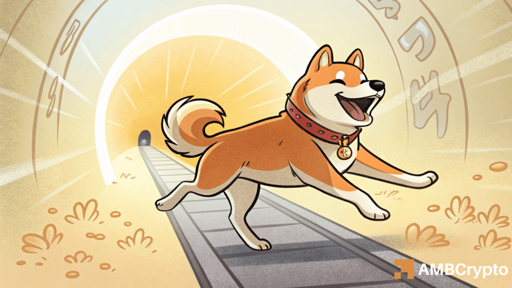 DOGE