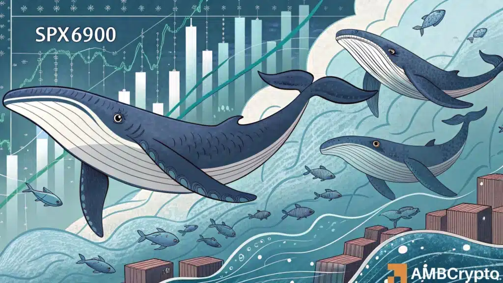 SPX surges on 935K whale buys, but THIS metric suggests the top may be in!