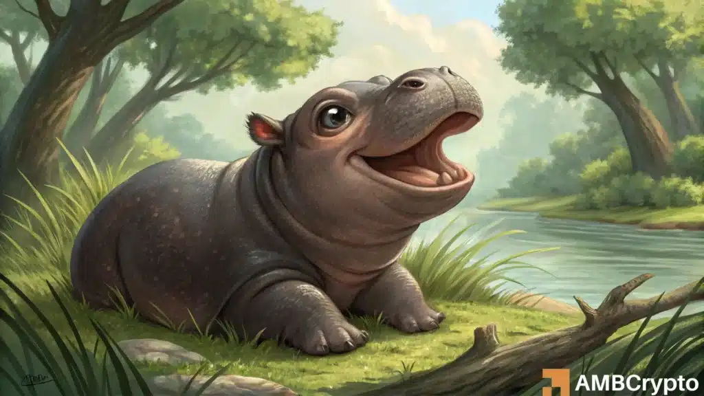 Viral baby hippo Moo Deng celebrates her first birthday- how is the meme coin doing?