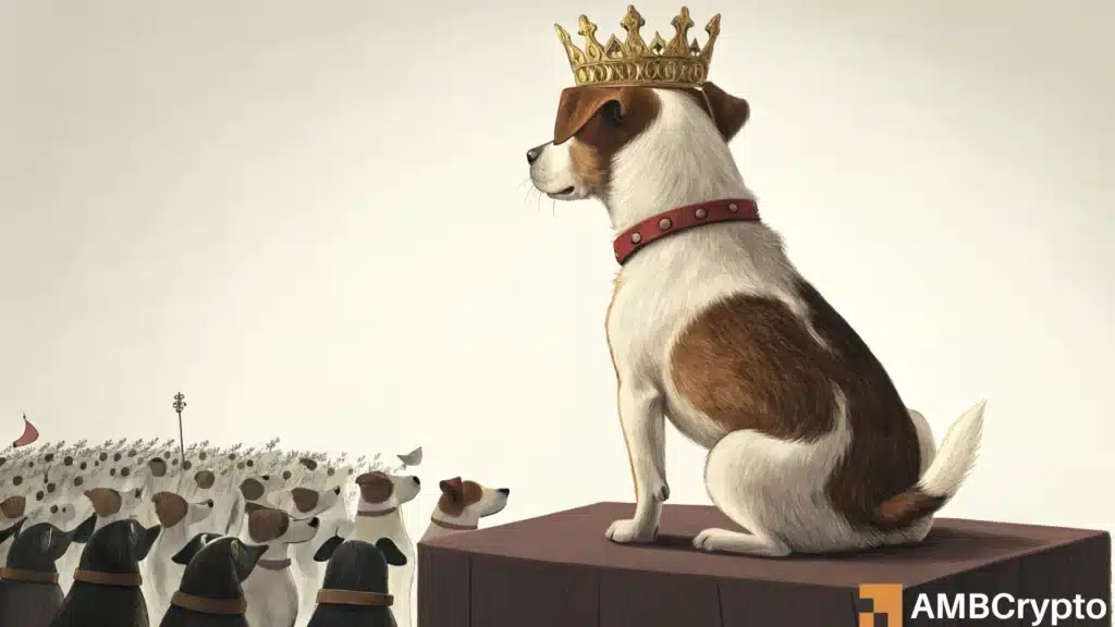 dogwifhat [WIF] price prediction - Is it ready to lead the next memecoin wave?