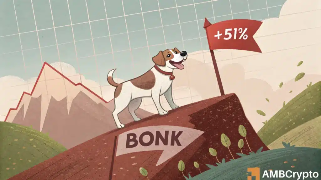bonk news