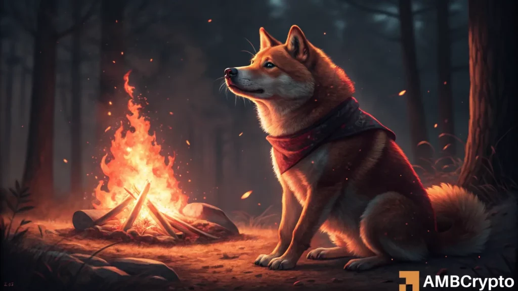 Shiba Inu Burn Rate Explodes 65,141% - Is a SHIB Breakout Finally Coming?